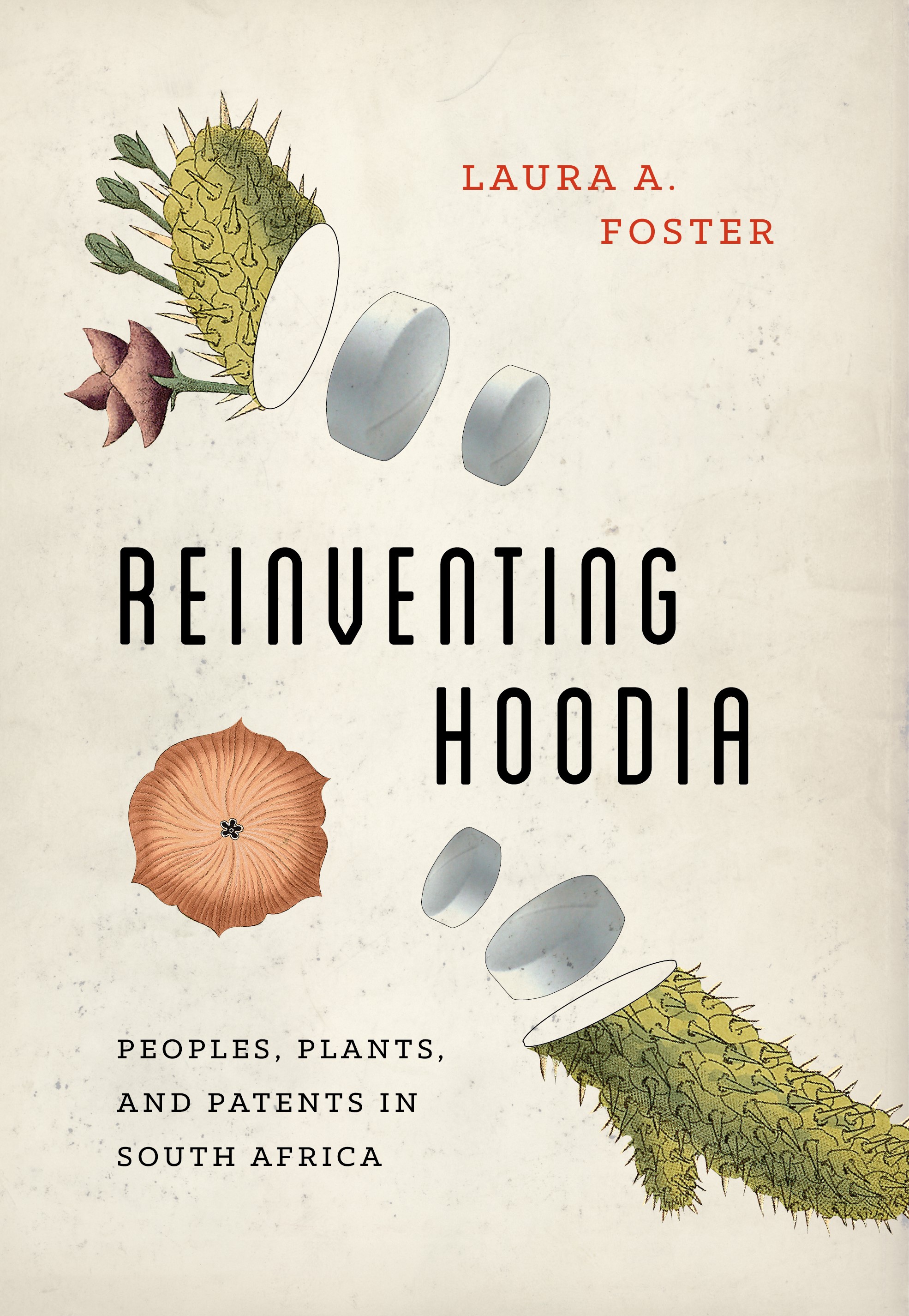Reinventing Hoodia book cover